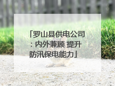 罗山县供电公司：内外兼顾 提升防汛保电能力