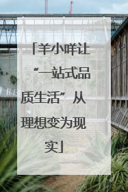 羊小咩让“一站式品质生活”从理想变为现实