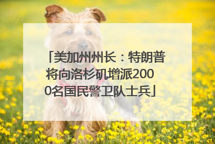 美加州州长：特朗普将向洛杉矶增派2000名国民警卫队士兵