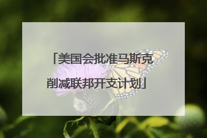 美国会批准马斯克削减联邦开支计划