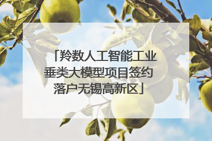 羚数人工智能工业垂类大模型项目签约落户无锡高新区