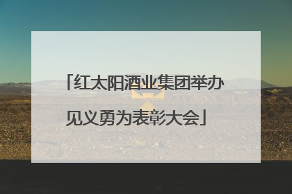 红太阳酒业集团举办见义勇为表彰大会