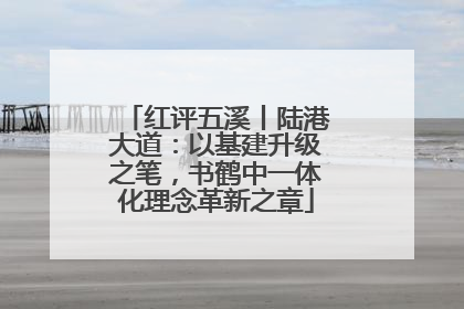 红评五溪丨陆港大道：以基建升级之笔，书鹤中一体化理念革新之章
