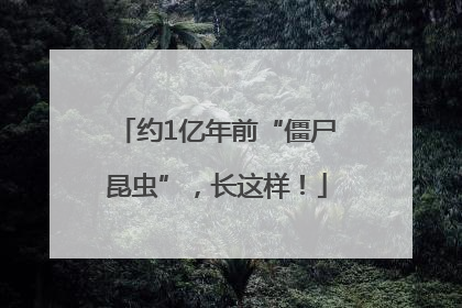 约1亿年前“僵尸昆虫”，长这样！