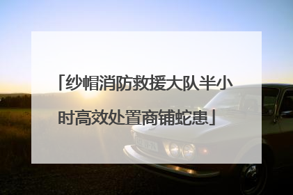纱帽消防救援大队半小时高效处置商铺蛇患