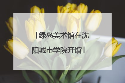 绿岛美术馆在沈阳城市学院开馆