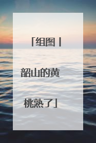 组图丨韶山的黄桃熟了