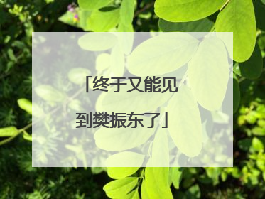 终于又能见到樊振东了