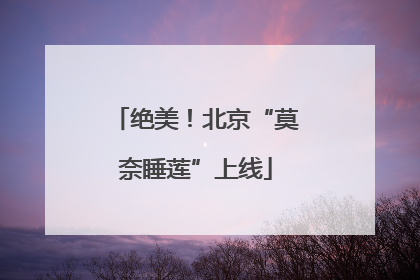 绝美！北京“莫奈睡莲”上线