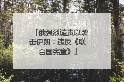俄强烈谴责以袭击伊朗：违反《联合国宪章》