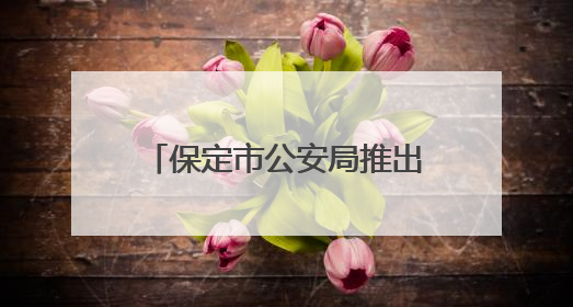 保定市公安局推出暑期学子办理出入境证件延时服务