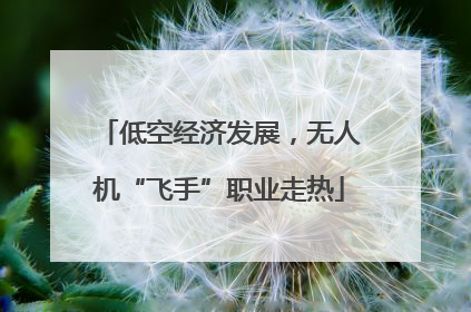 低空经济发展，无人机“飞手”职业走热