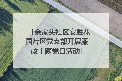 余家头社区安胜花园片区党支部开展廉政主题党日活动