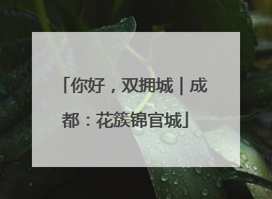 你好，双拥城｜成都：花簇锦官城