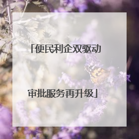 便民利企双驱动 审批服务再升级