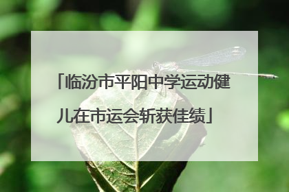 临汾市平阳中学运动健儿在市运会斩获佳绩