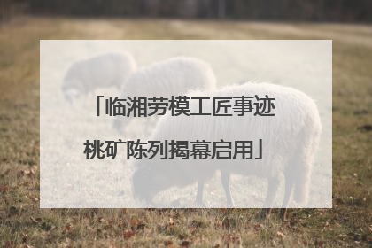 临湘劳模工匠事迹桃矿陈列揭幕启用