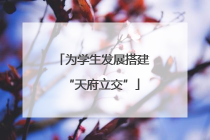 为学生发展搭建“天府立交”