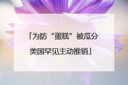 为防“蛋糕”被瓜分 美国罕见主动推销