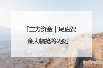 主力资金｜尾盘资金大幅抢筹2股