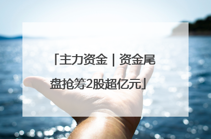 主力资金｜资金尾盘抢筹2股超亿元