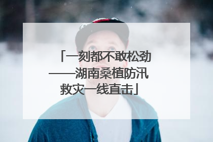 一刻都不敢松劲——湖南桑植防汛救灾一线直击