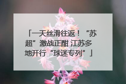 一天丝滑往返！“苏超”激战正酣 江苏多地开行“球迷专列”
