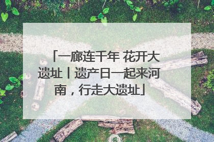 一廊连千年 花开大遗址丨遗产日一起来河南，行走大遗址