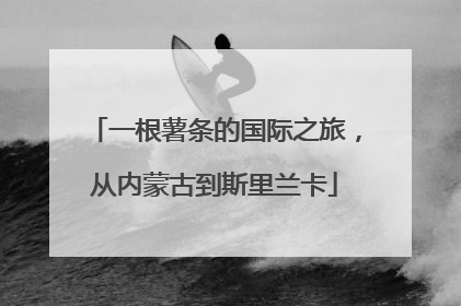 一根薯条的国际之旅，从内蒙古到斯里兰卡