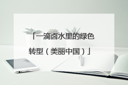 一滴卤水里的绿色转型（美丽中国）