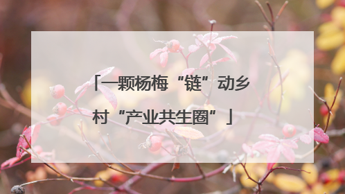 一颗杨梅“链”动乡村“产业共生圈”