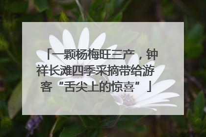 一颗杨梅旺三产，钟祥长滩四季采摘带给游客“舌尖上的惊喜”