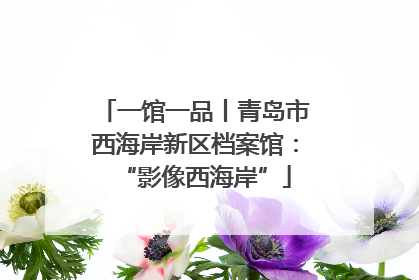 一馆一品丨青岛市西海岸新区档案馆：“影像西海岸”