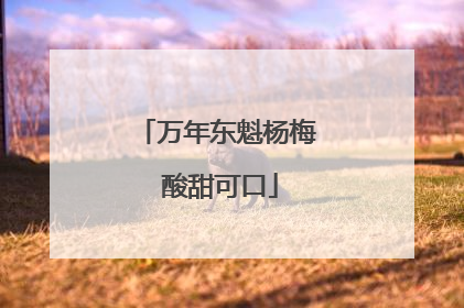 万年东魁杨梅 酸甜可口