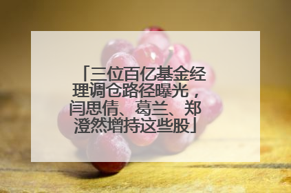 三位百亿基金经理调仓路径曝光，闫思倩、葛兰、郑澄然增持这些股