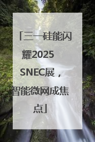 三一硅能闪耀2025 SNEC展，智能微网成焦点