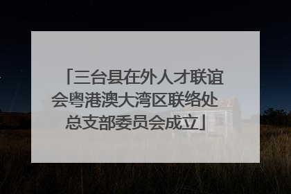 三台县在外人才联谊会粤港澳大湾区联络处总支部委员会成立