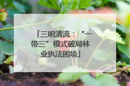 三明清流：“一带三”模式破局林业执法困境