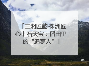 三湘匠韵·株洲匠心丨石天宝：稻田里的“追梦人”