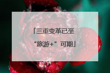 三重变革已至 “旅游+”可期