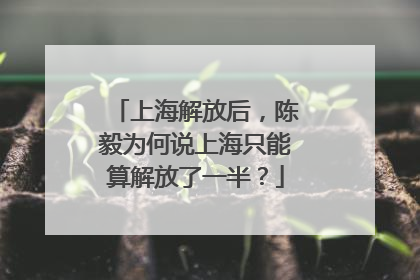 上海解放后，陈毅为何说上海只能算解放了一半？