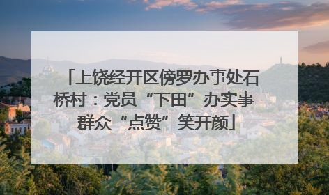 上饶经开区傍罗办事处石桥村：党员“下田”办实事 群众“点赞”笑开颜