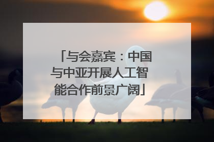 与会嘉宾：中国与中亚开展人工智能合作前景广阔