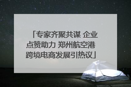 专家齐聚共谋 企业点赞助力 郑州航空港跨境电商发展引热议