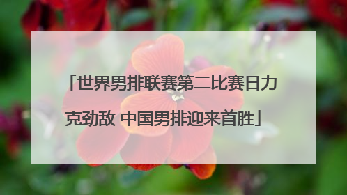 世界男排联赛第二比赛日力克劲敌 中国男排迎来首胜