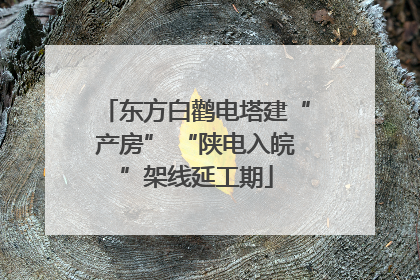 东方白鹳电塔建“产房” “陕电入皖”架线延工期