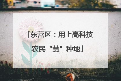 东营区：用上高科技 农民“慧”种地