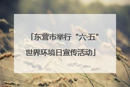 东营市举行“六·五”世界环境日宣传活动