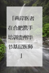 两岸医者在合肥携手培训贵州毕节基层医师