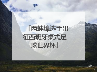 两蚌埠选手出征西班牙桌式足球世界杯